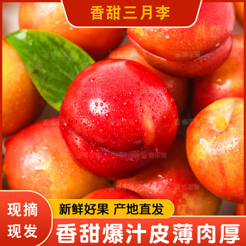 摆放着一堆的珍珠李