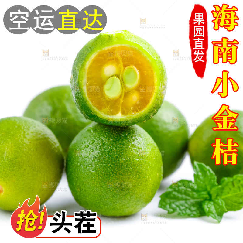 白底上摆放着海南小金桔
