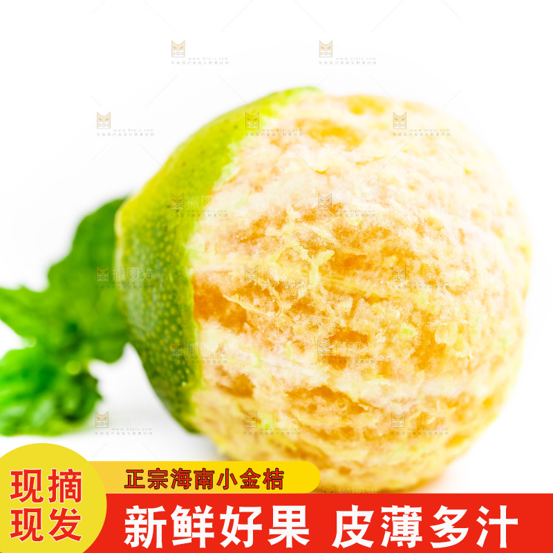 白底上摆放着小金桔