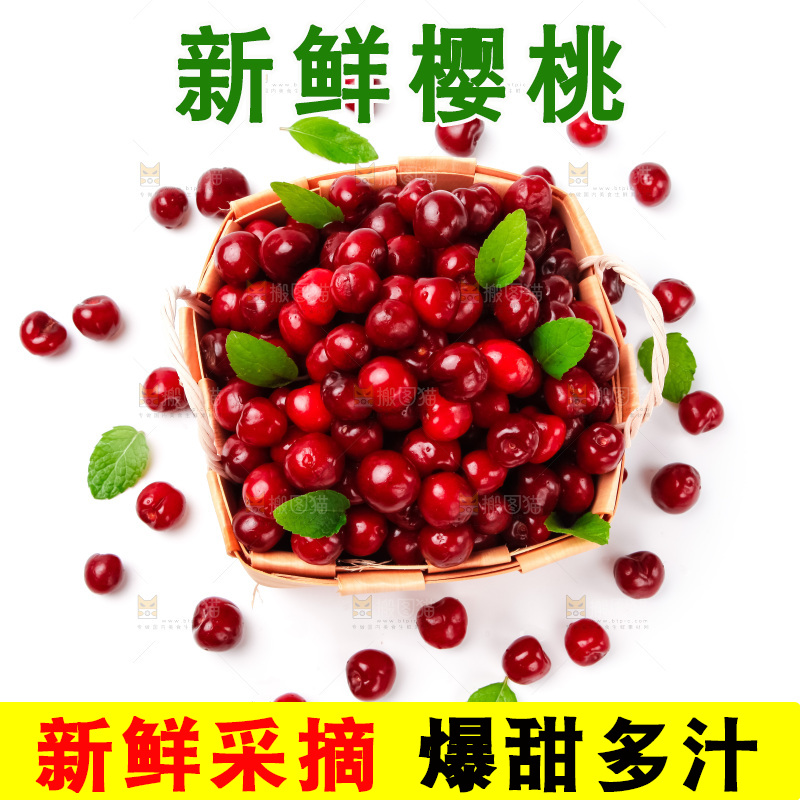 篮子里装着新鲜樱桃