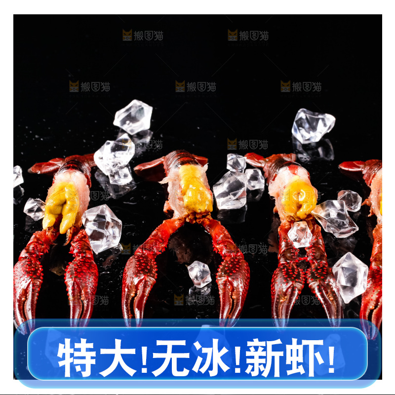 黑底上摆放着新鲜小龙虾