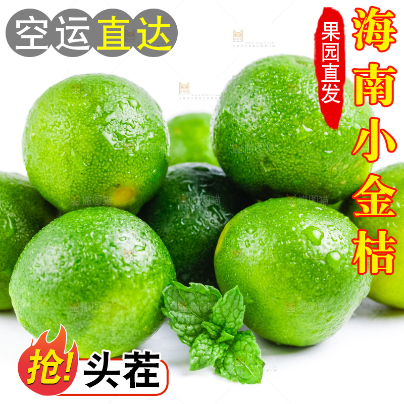 白底上放着小金桔