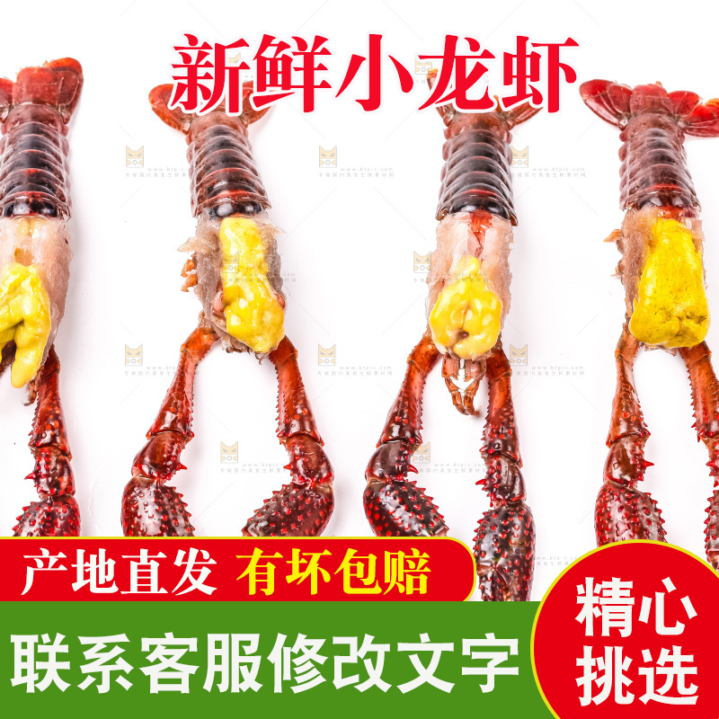 白底上摆放着龙虾