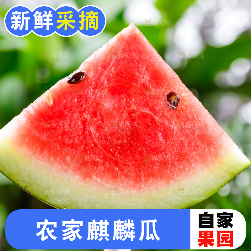 玻璃杯上放着西瓜
