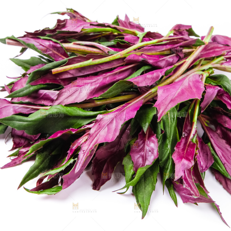 浅底上放着紫背菜