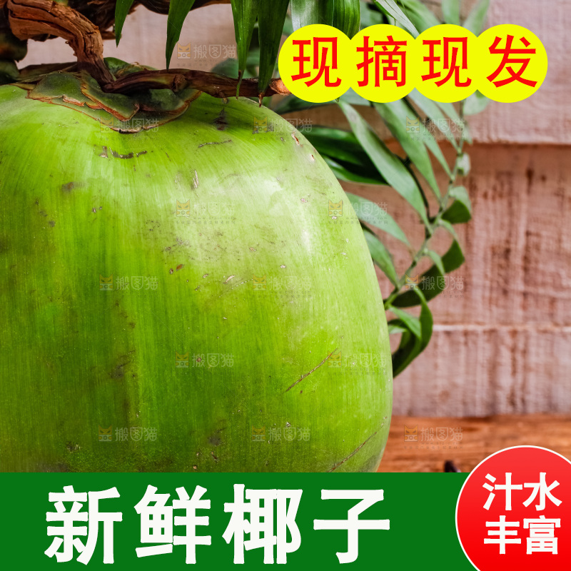 木底上摆放着椰青