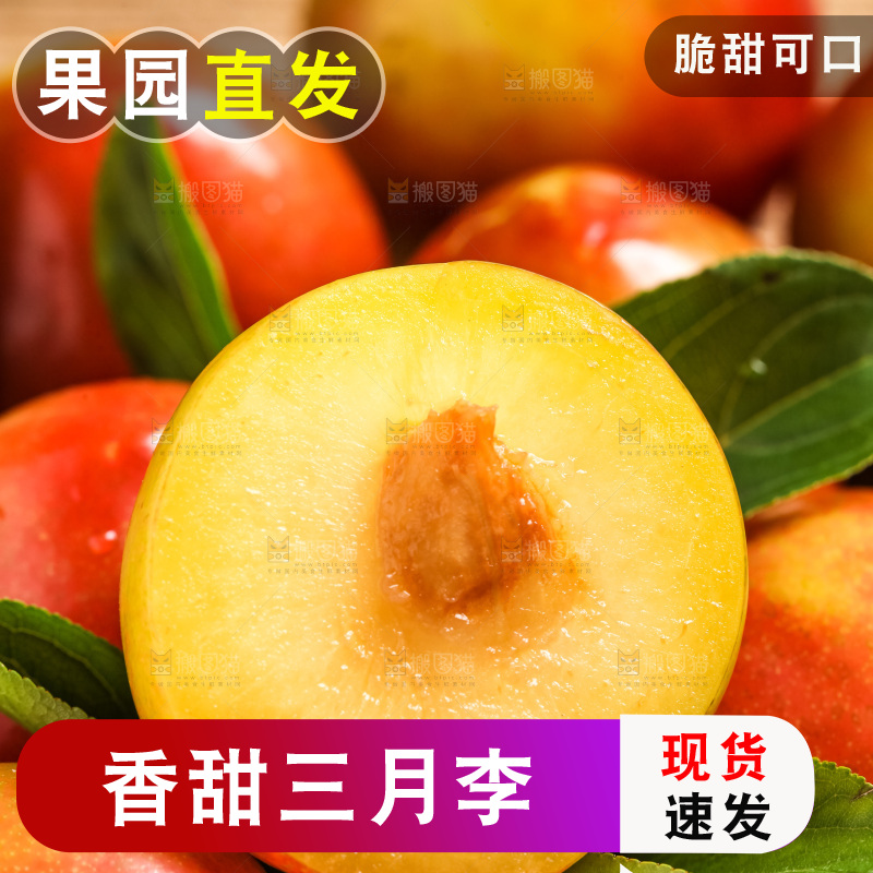 摆放着一堆的红李子