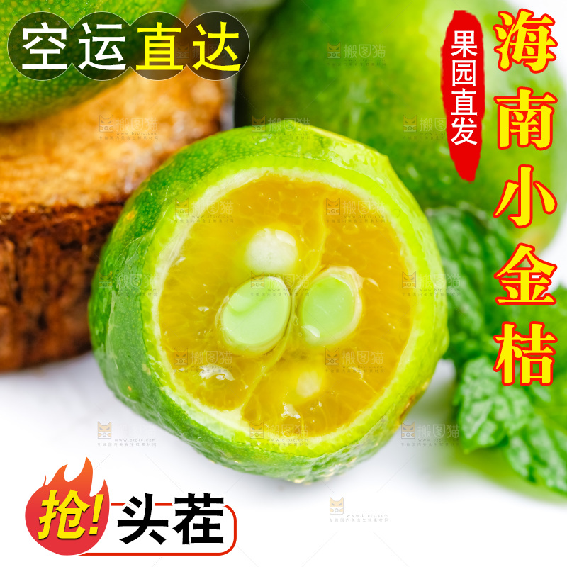 白底上摆放着海南小金桔