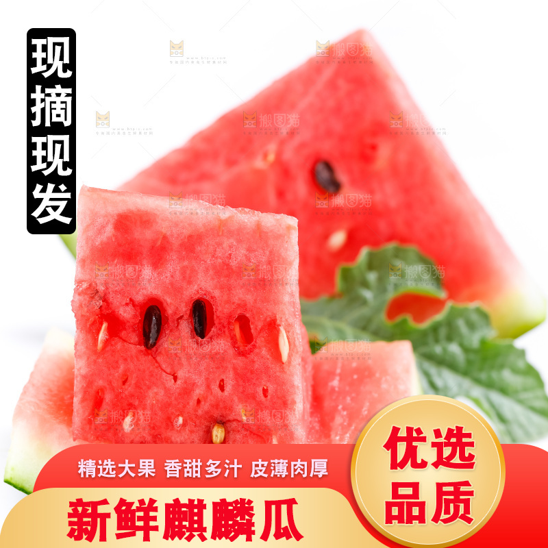 白底上摆放着麒麟瓜