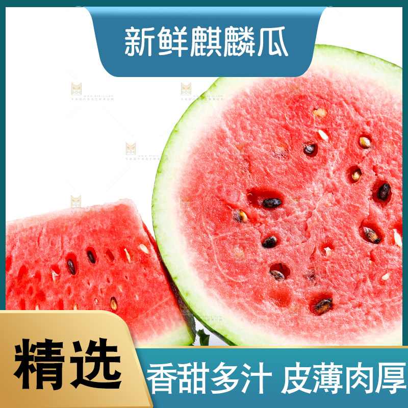 白底上摆放着麒麟瓜