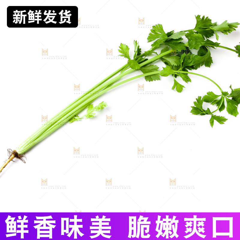 白底上摆放着芹菜