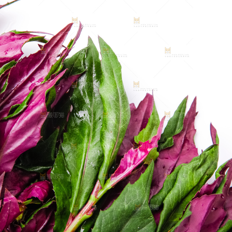 浅底上放着紫背菜