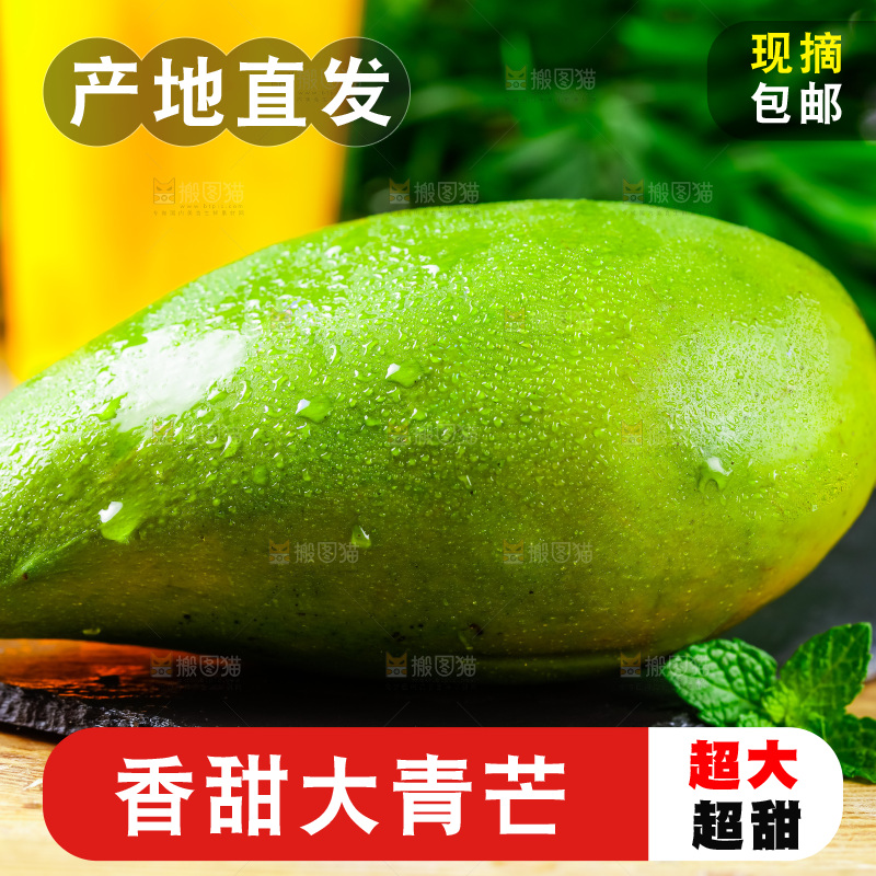 黑石板上放着大青芒