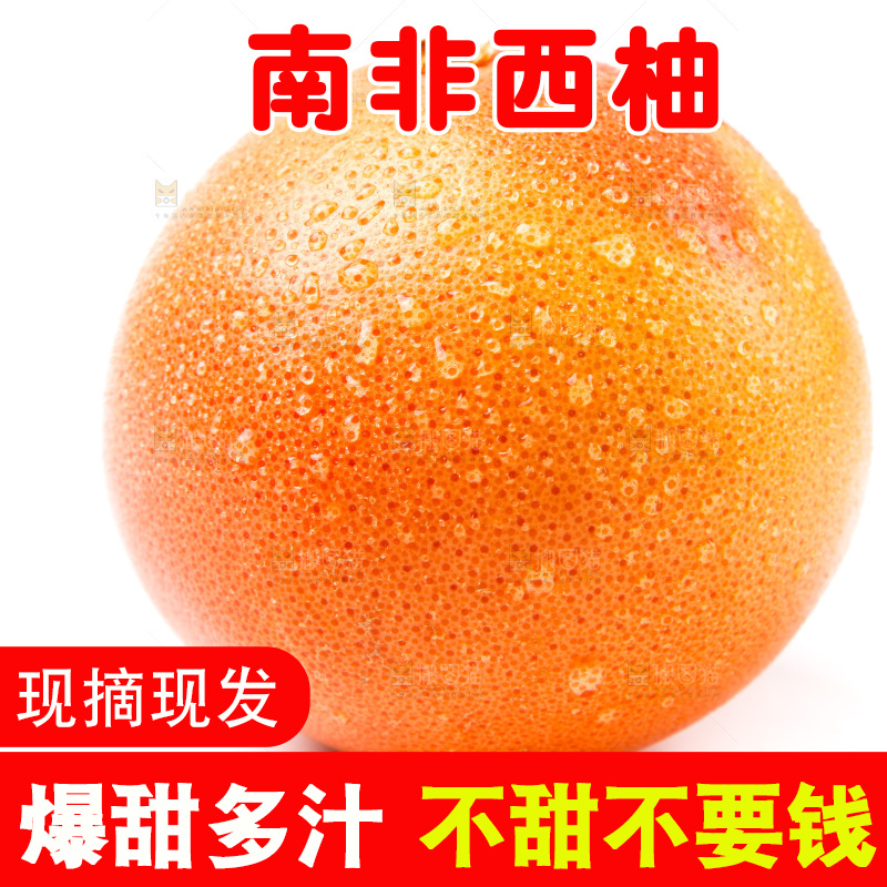 白底上摆放着红西柚