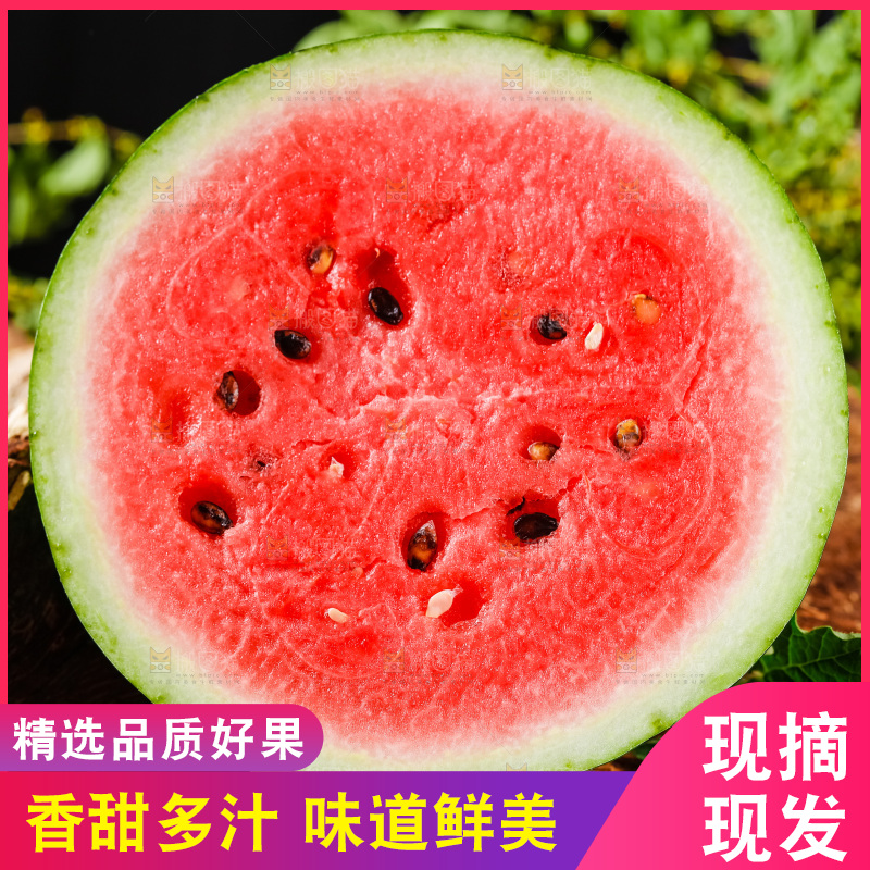 深底上摆放着8424麒麟瓜