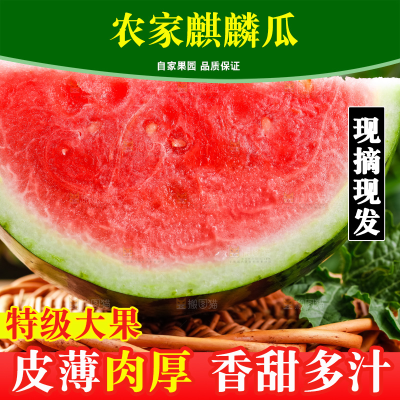 篮子上放着8424麒麟瓜