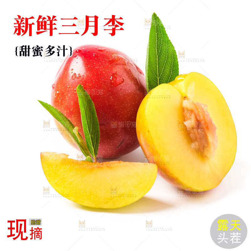 白底上摆放着珍珠李子