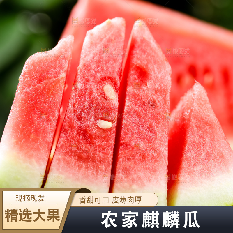 手里拿着西瓜
