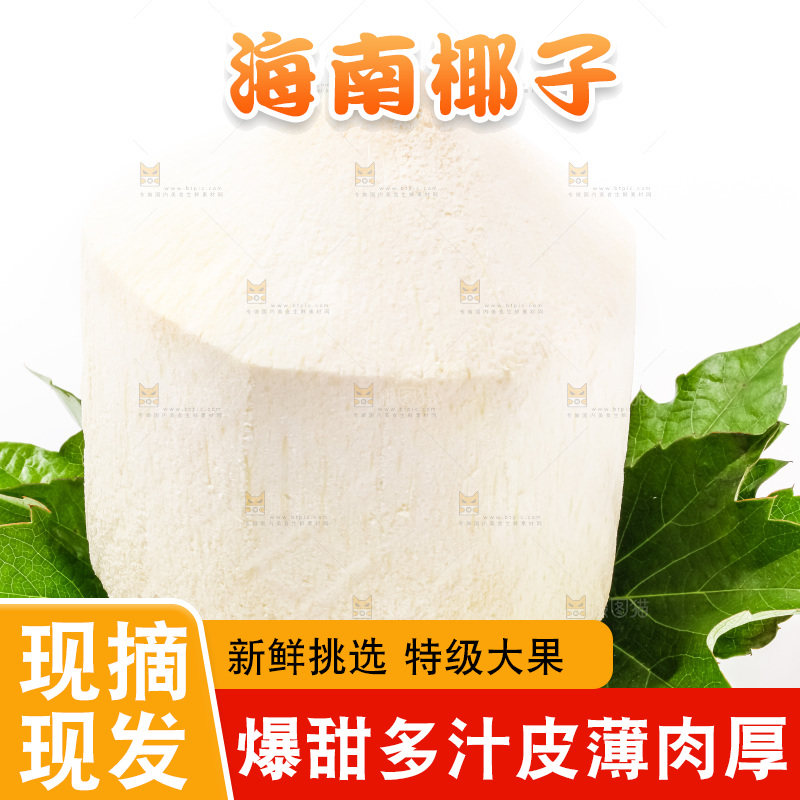 白底摆放着椰子