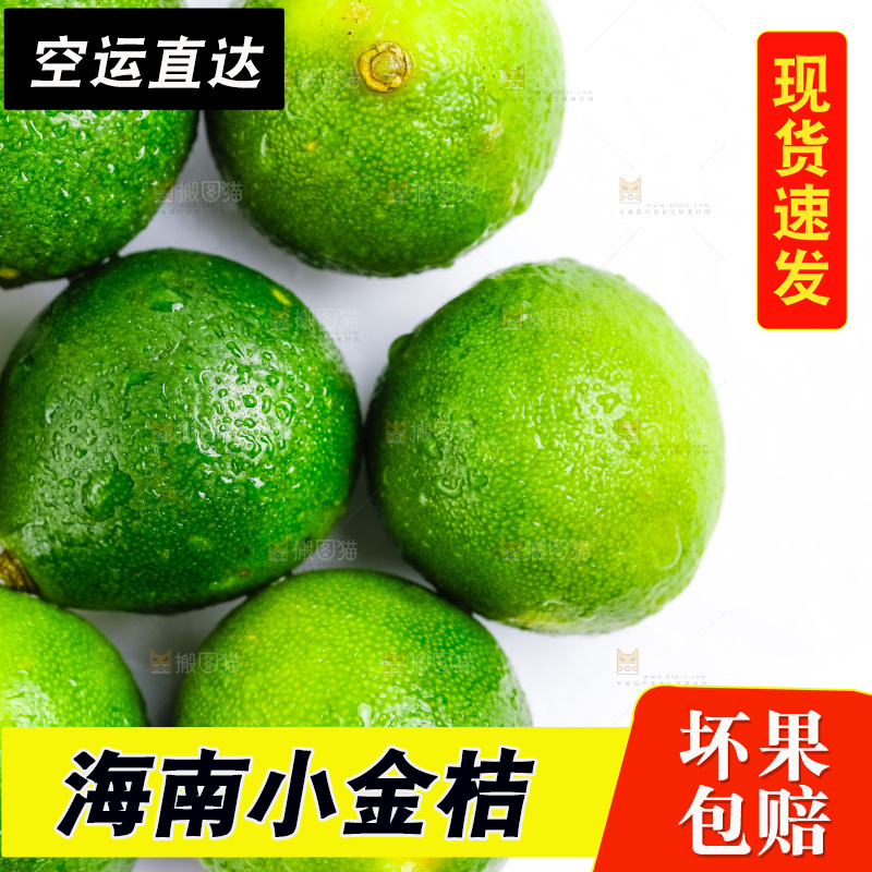白底上放着小金桔
