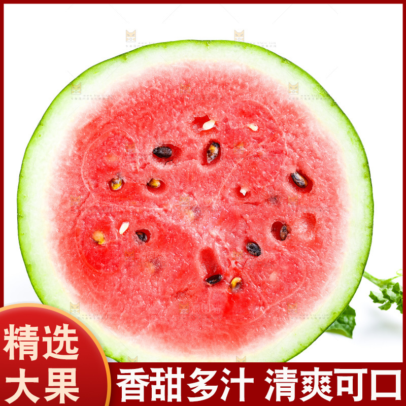 白底上摆放着麒麟瓜