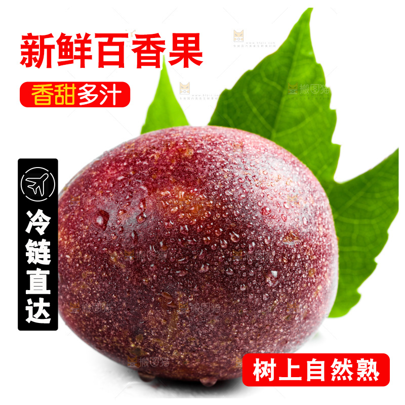 白底上摆放着紫皮百香果