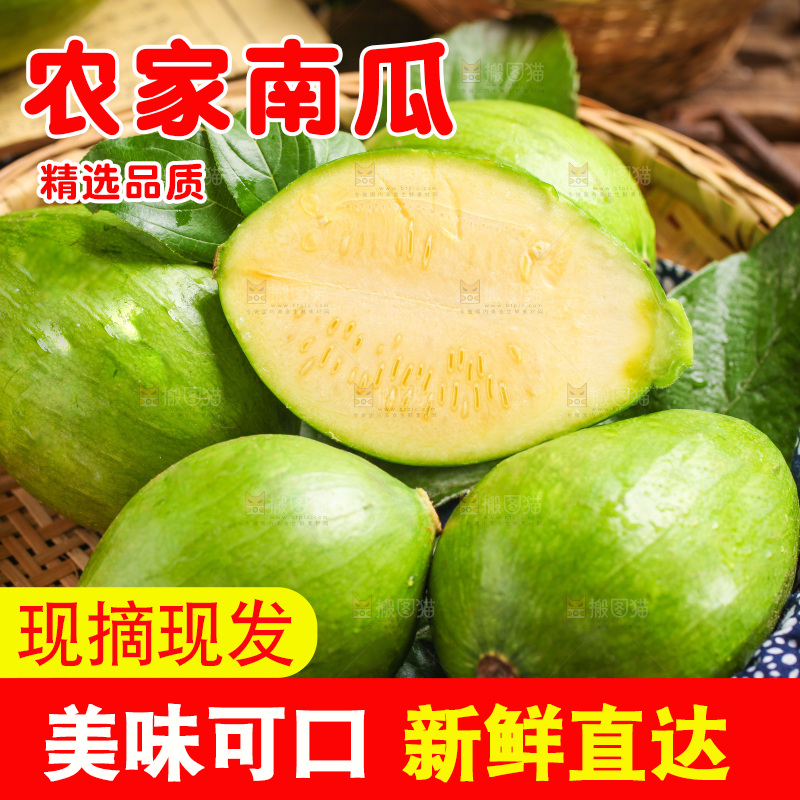 篮子里装着嫩南瓜