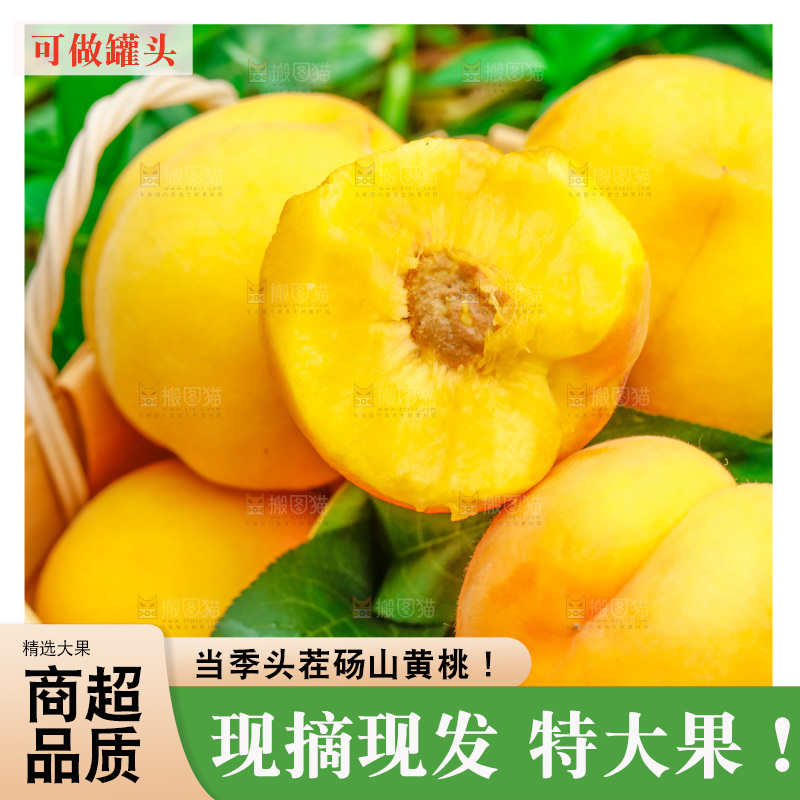 篮子里装着安徽砀山黄桃