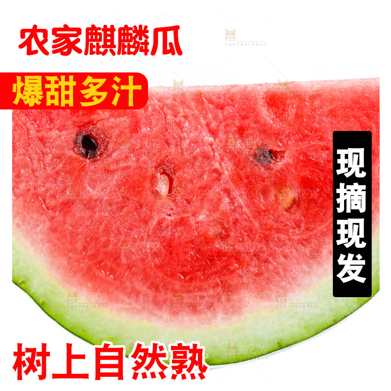 白底上摆放着麒麟西瓜