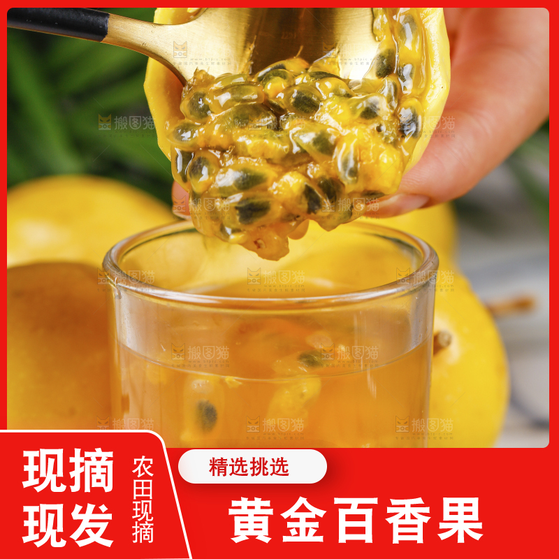 手里拿着黄色百香果