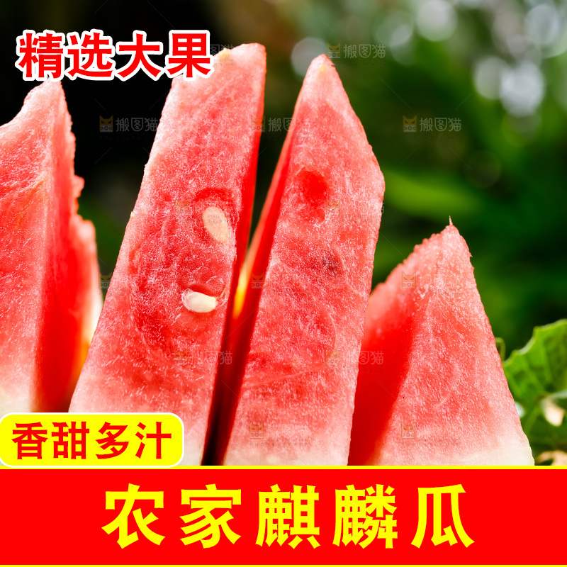 篮子上摆放着新鲜西瓜