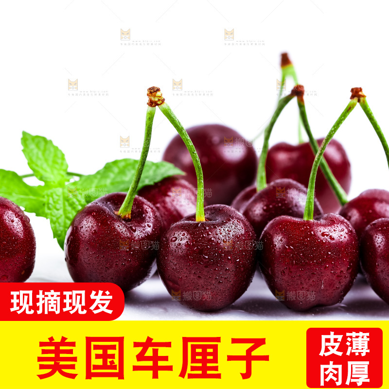 白底上的黑珍珠樱桃