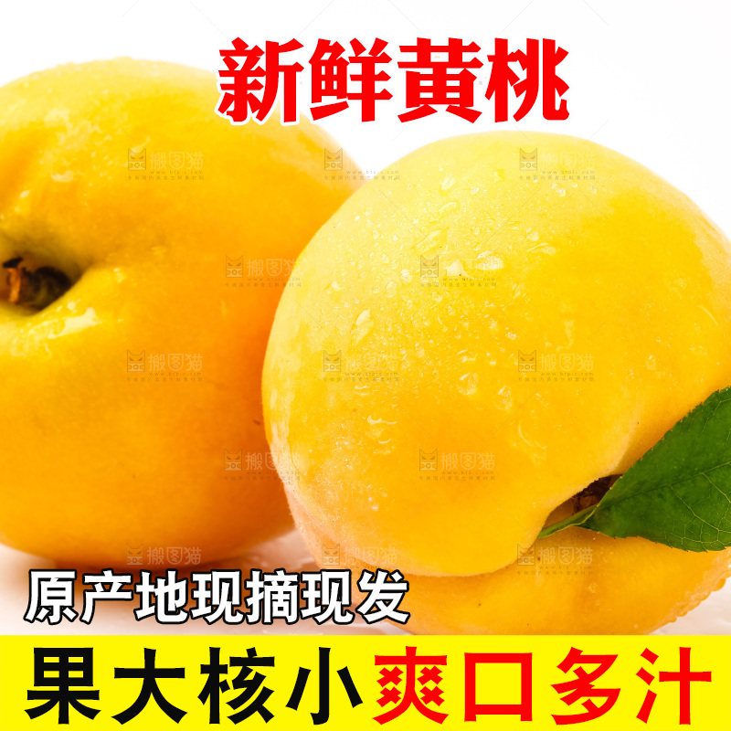 白底上摆放着黄桃