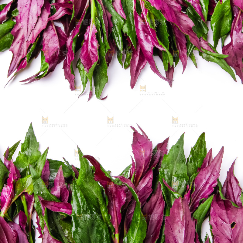 浅底上放着紫背菜