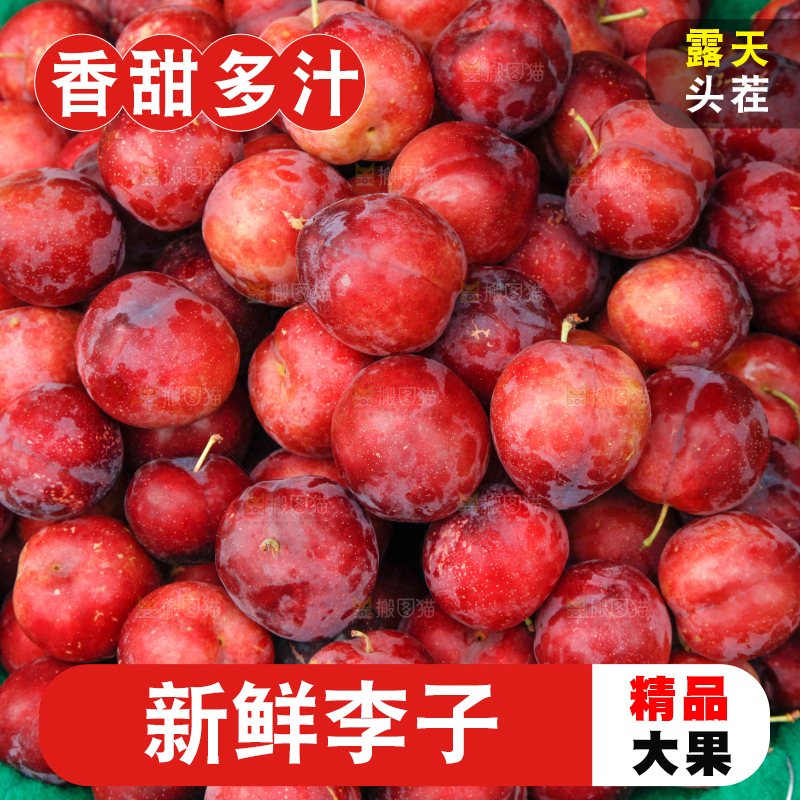 框子里装着红布林