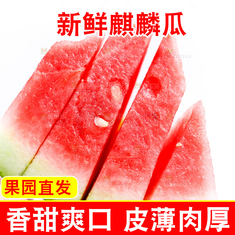 手里拿着西瓜