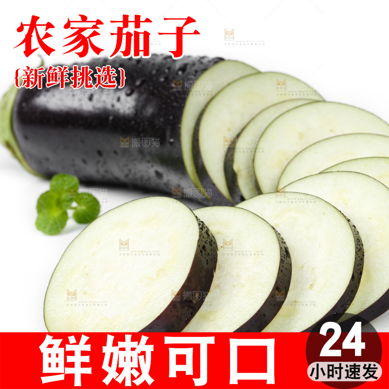 白底上的紫茄子