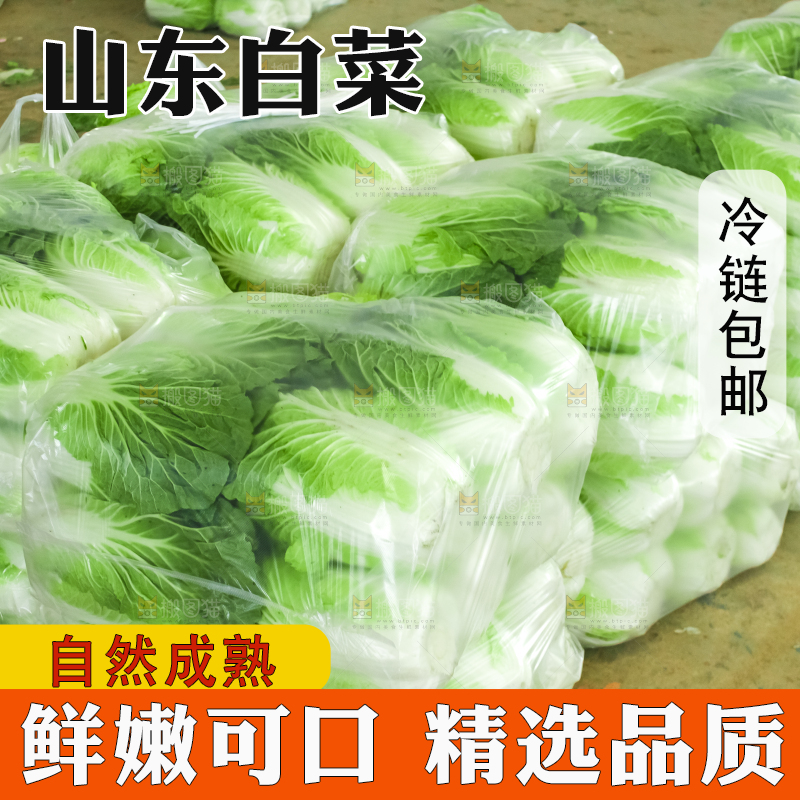 袋子里装着白菜