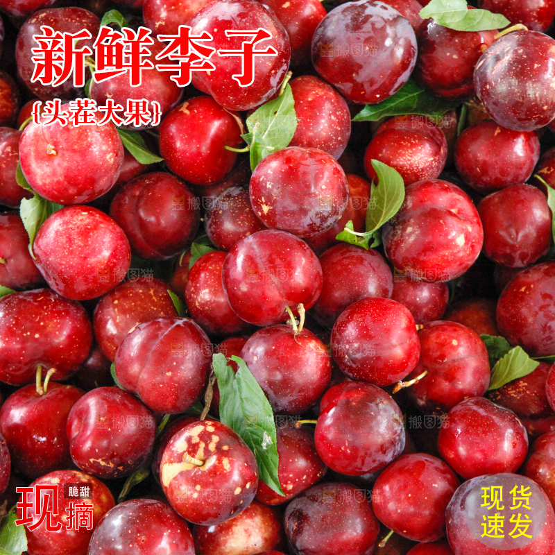 一堆红布林