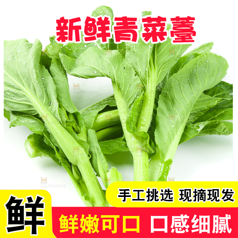 白底上放着青菜薹