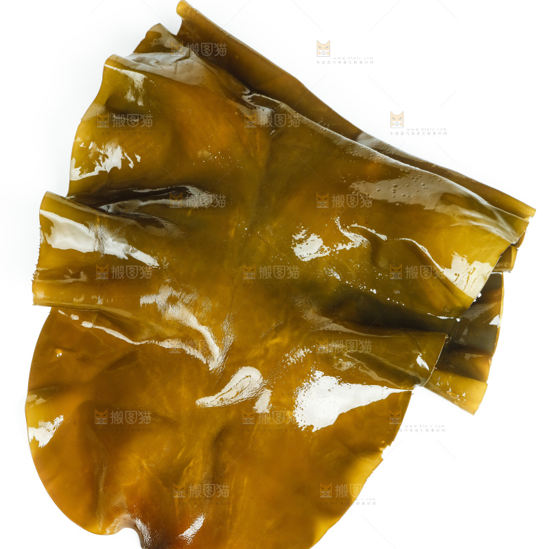 白底上放着海带