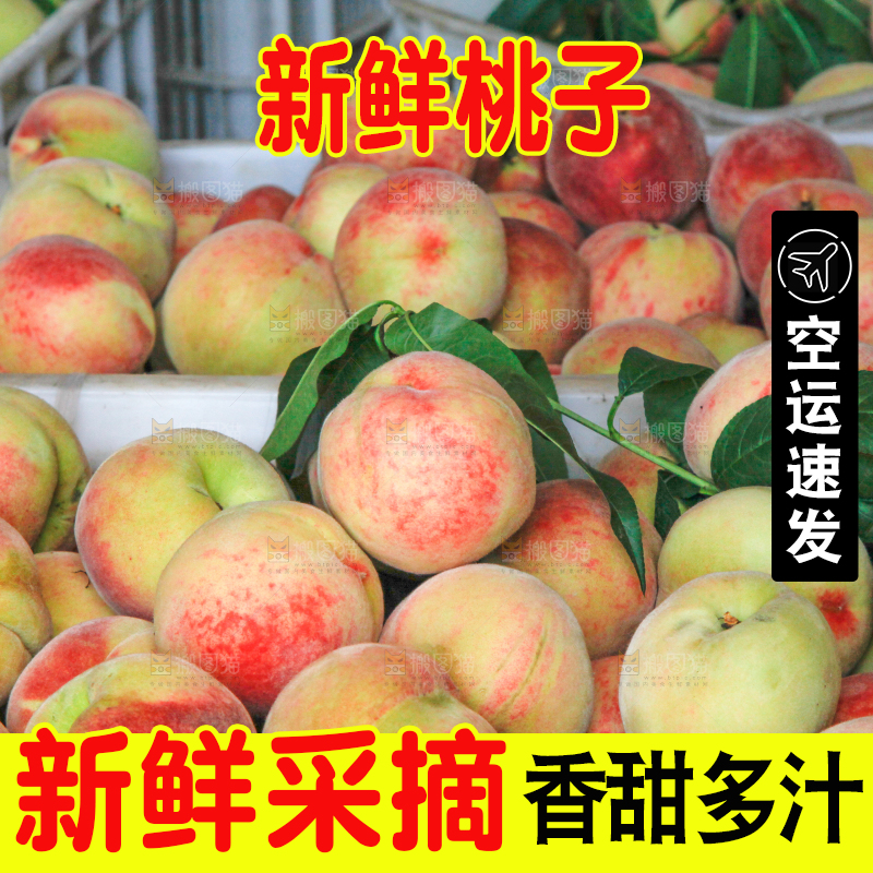 框子里装着毛桃