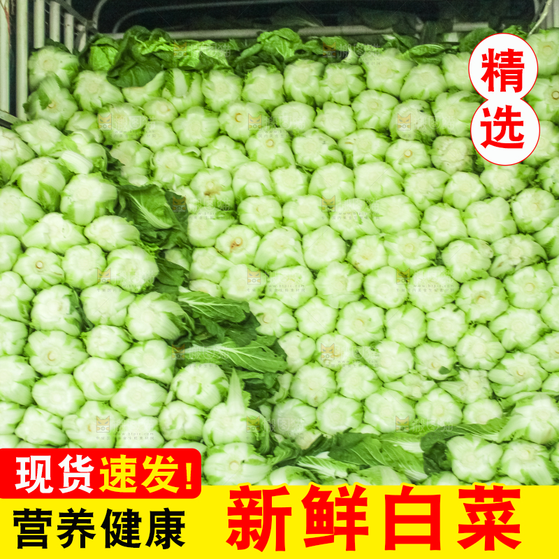 车上装着白菜