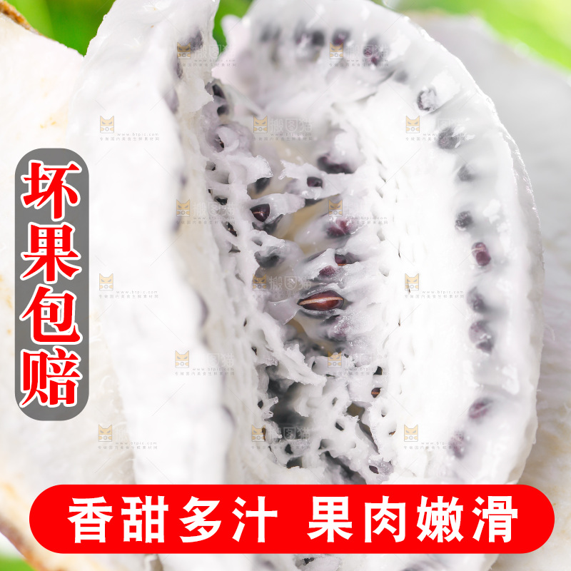 草地上的八月瓜