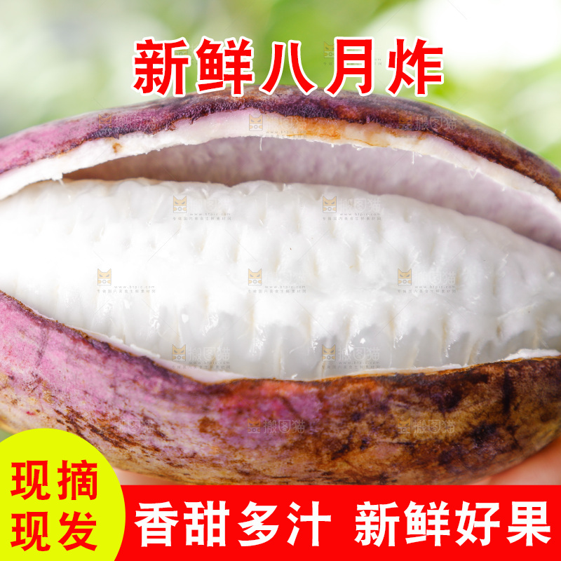 手里拿着新鲜八月瓜
