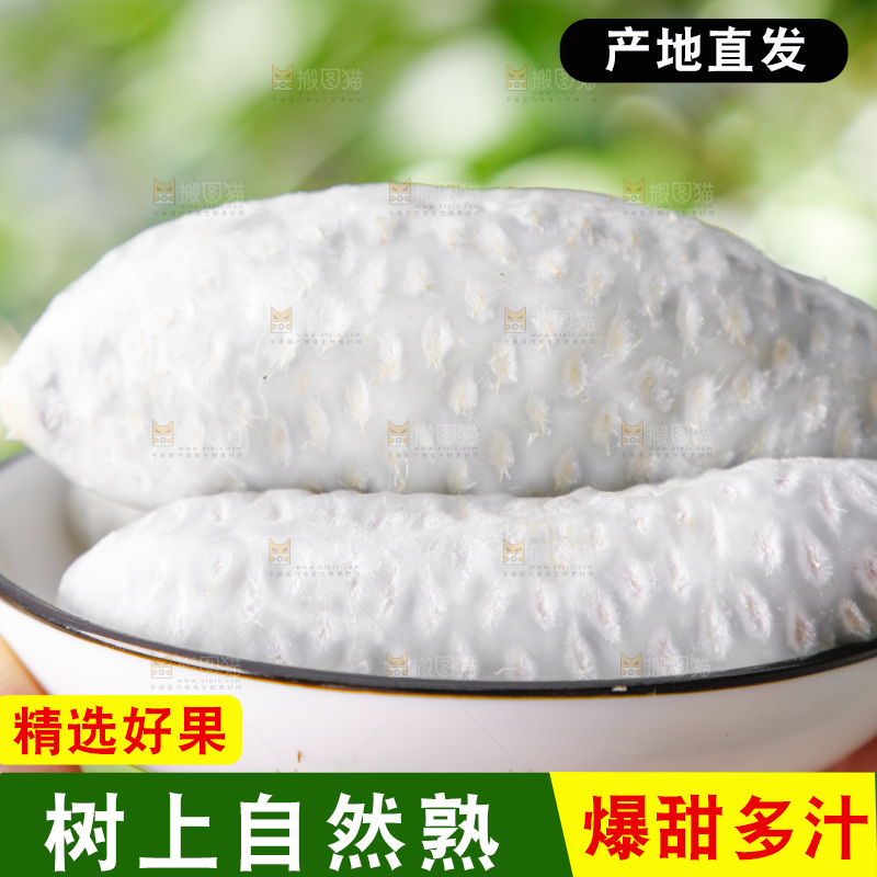手里拿着新鲜八月瓜