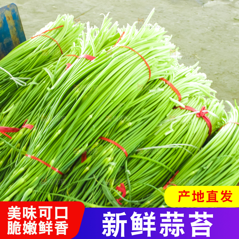手里拿着蒜苔