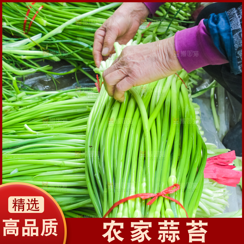 一堆新鲜蒜苔