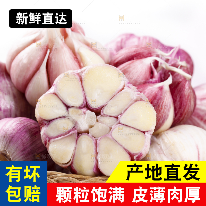 一筐云南新鲜紫皮大蒜放在白底上