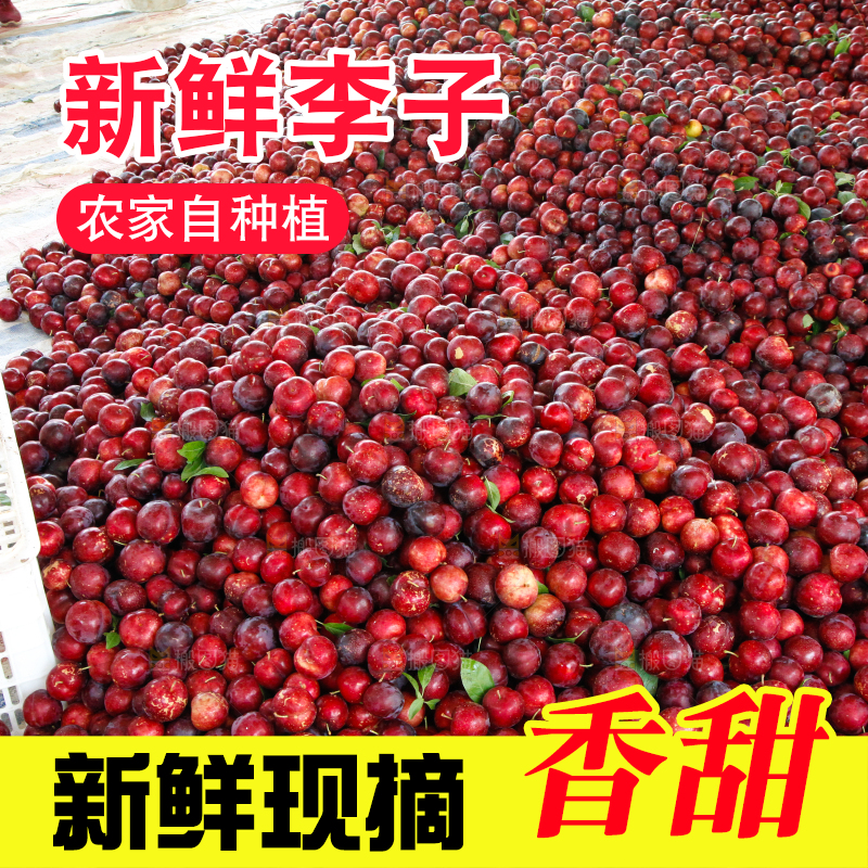 一堆红布林